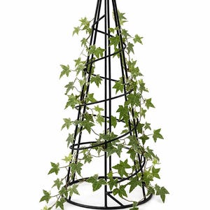 May include: Black metal obelisk-shaped garden trellis with spiraling design, adorned with green and white ivy. The trellis is designed to support climbing plants, adding a decorative element to any garden or outdoor space.