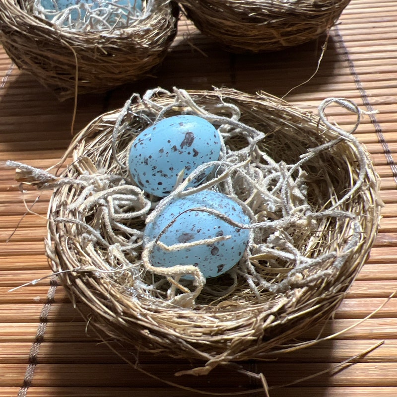 Blue Bird Eggs Etsy