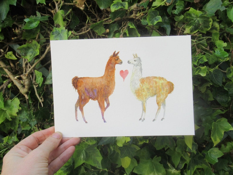 A gorgeous gift for a loved one By Laura Robertson Llama Love A5 Signed Giclee print for llama and alpaca lovers everywhere
