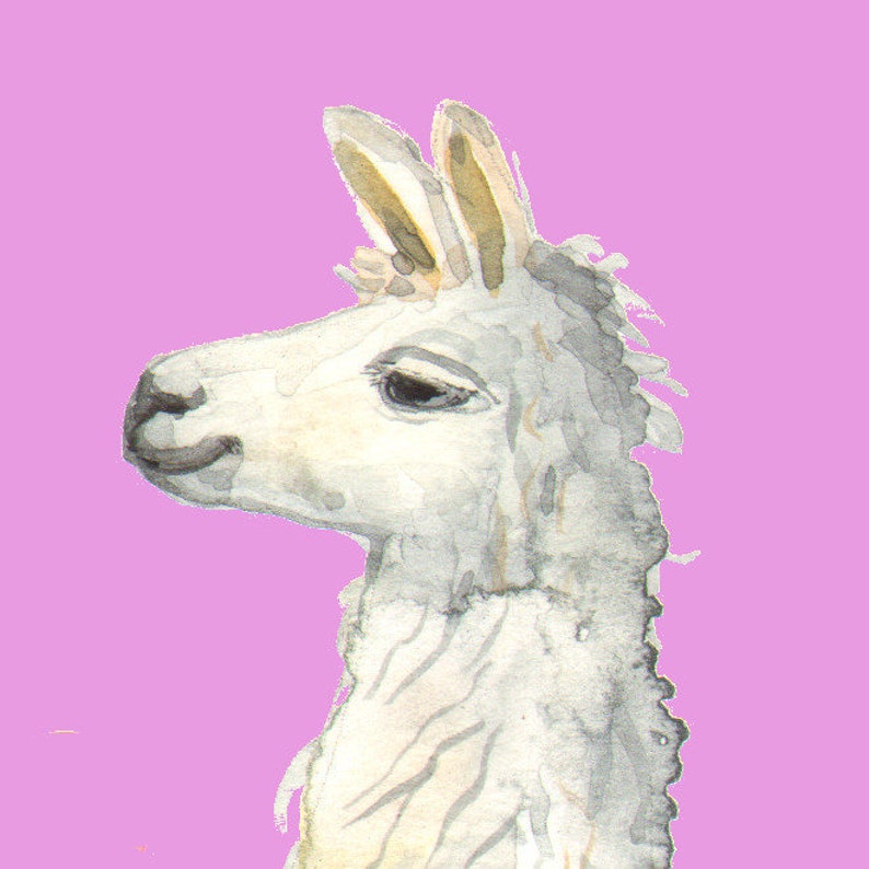 A gorgeous gift for a loved one By Laura Robertson Llama Love A5 Signed Giclee print for llama and alpaca lovers everywhere
