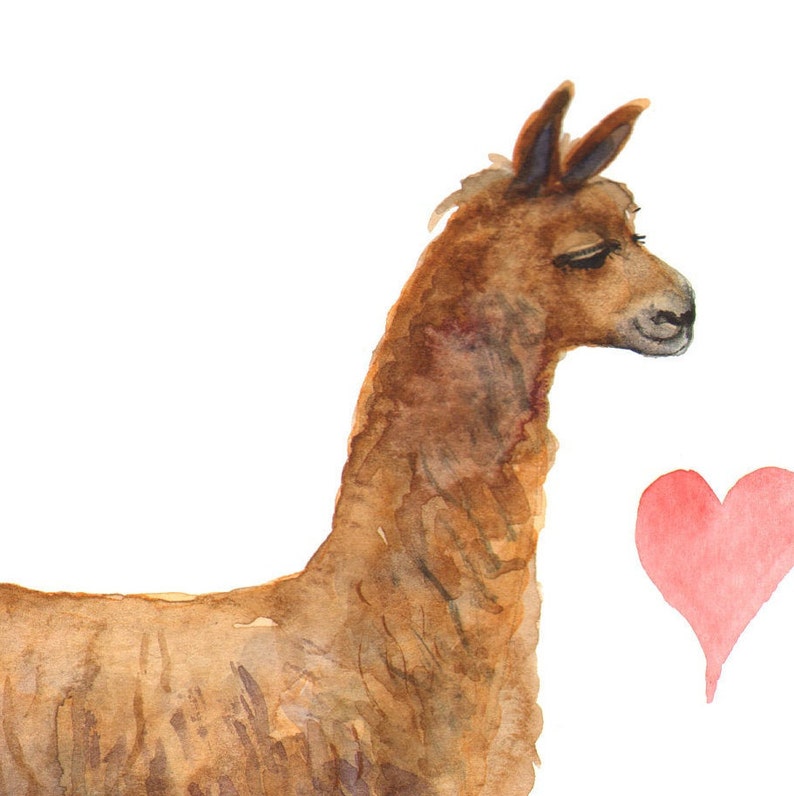 A gorgeous gift for a loved one By Laura Robertson Llama Love A5 Signed Giclee print for llama and alpaca lovers everywhere