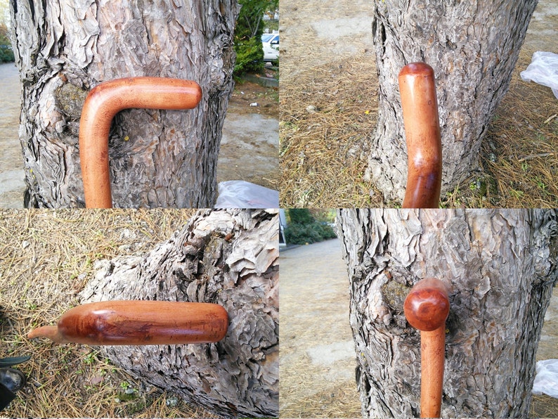 Maple 45.5