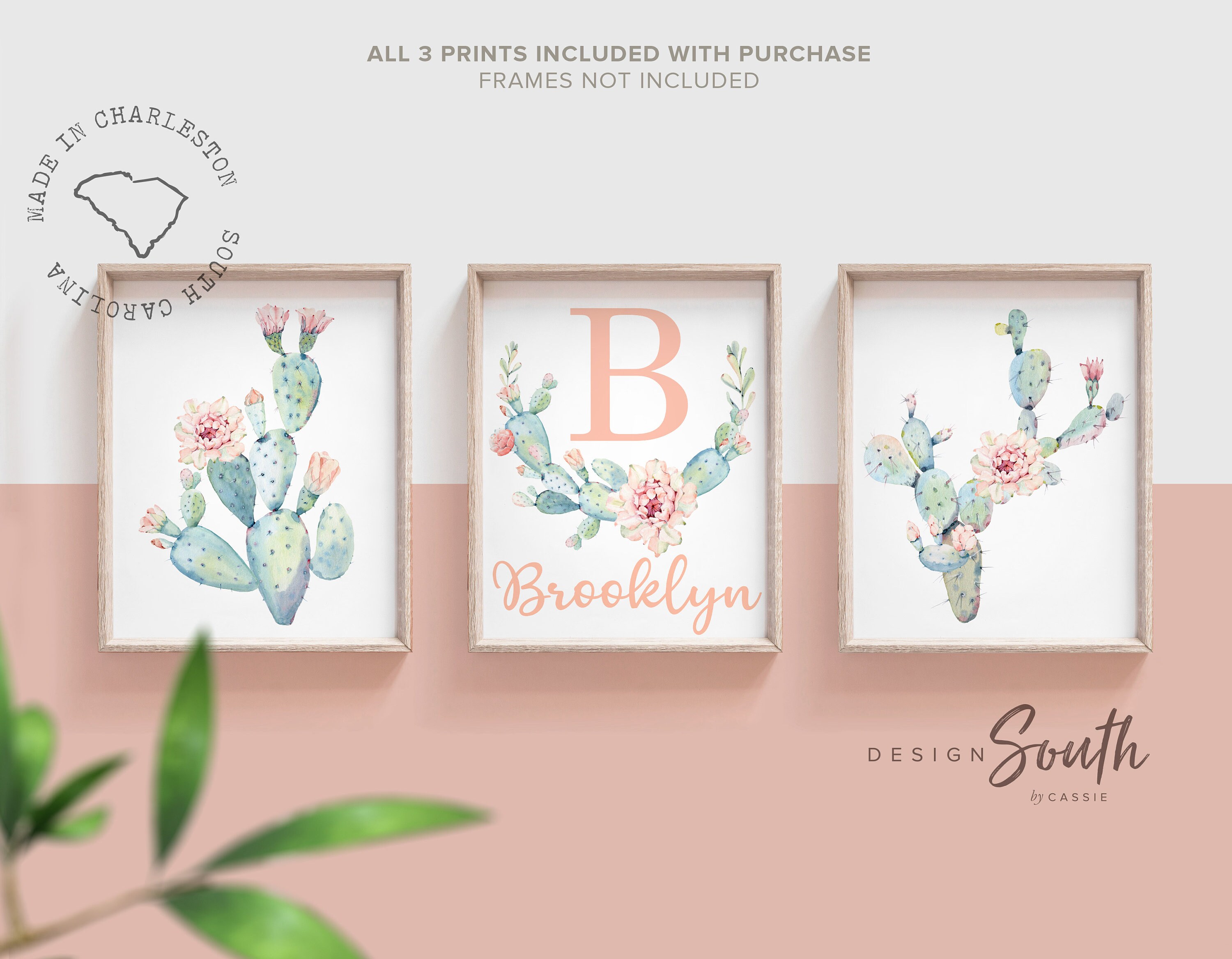 cactus baby girl nursery