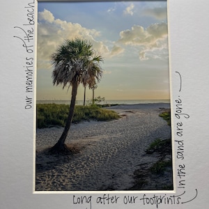 Palm sunset
