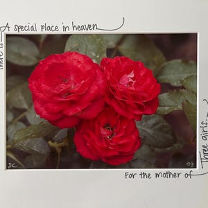 Roses