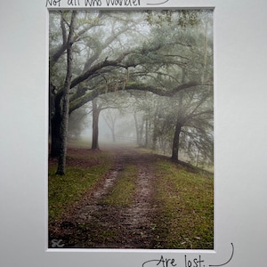 Könnte beinhalten: Ein nebliger Waldweg mit hohen Bäumen und einem Zitat: "Nicht alle, die wandern, sind verloren."