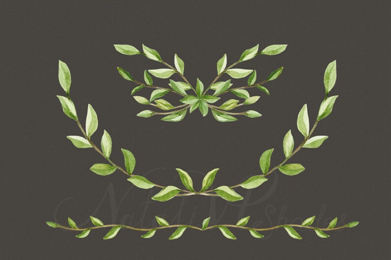 Foliage. Elegant Floral Set. Leaves and Branches. Laurels Etsy