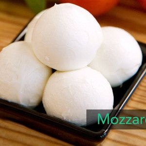DIY Kit 2 Italian Cheeses : Mozzarella & Ricotta 6 batches Cheesemaking Kit U MAIN image 4