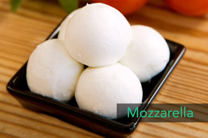 DIY Kit 2 Italian Cheeses : Mozzarella & Ricotta 6 batches Cheesemaking Kit U MAIN image 4