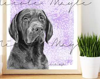 Labrador Retriever Druck. Optionen für die Hintergrundfarbe