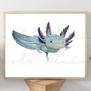 Axolotl watercolor painting print