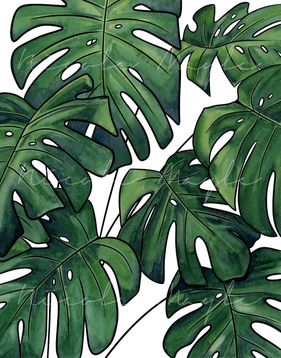 Monstera Deliciosa Aquarell Druck, Tropische Pflanze Decor - Etsy.de