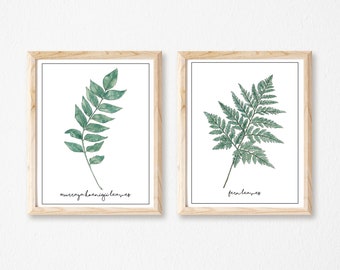 May include: Two framed prints of botanical illustrations. The left print features a green murraya koenigii leaf with the text "murraya koenigii leaves". The right print features a green fern leaf with the text "fern leaves".
