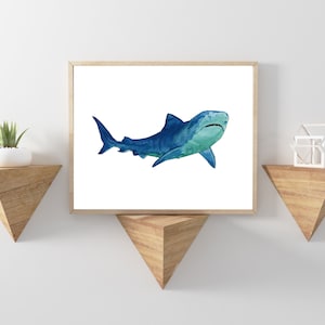 Shark watercolor painting prints