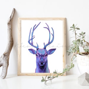 Deer Art Print