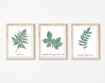 Watercolor Leaf Print Set of 3, Botanical Wall Decor