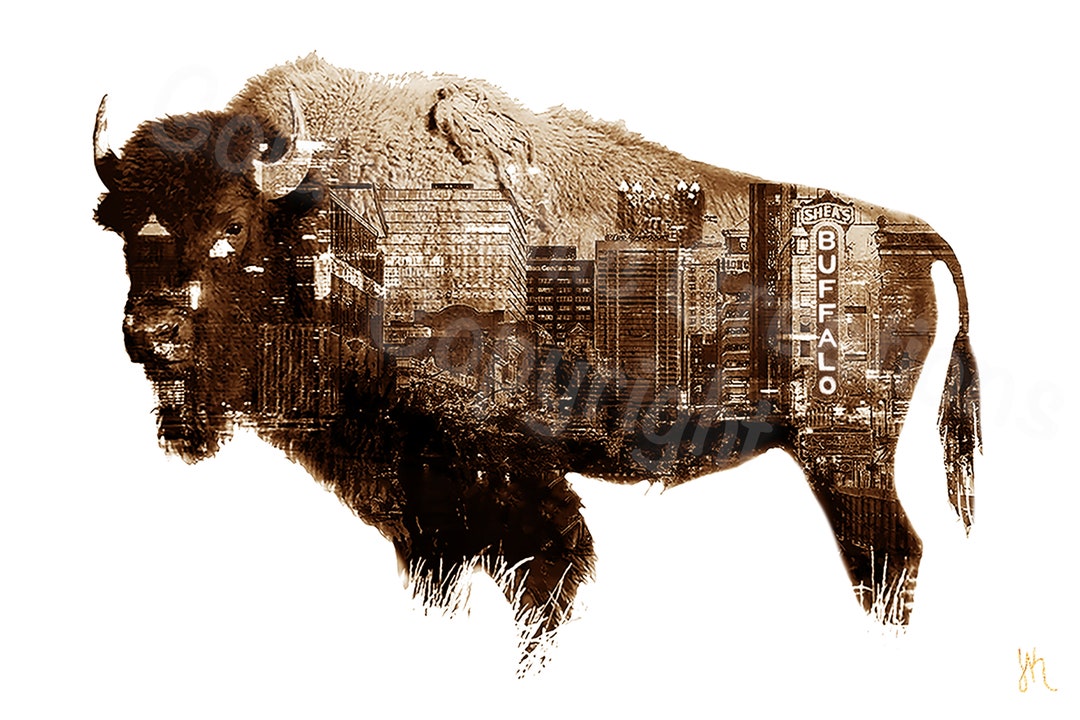 CANVAS Buffalo NY Custom Black and White With Gold Graphic Etsy