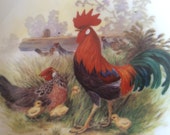 HEN and ROOSTER,H.Arndt,Ceramic Plate,Decorative Plate,Wall Plate,Bavaria Germann Burgwindbeim