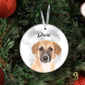 Adorno de perro personalizado, adorno con foto de perro para amantes de los perros, regalo de Navidad, regalo para dueños de perros, adornos de mascotas caricaturizados para padres peludos