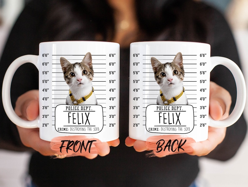 Funny Cat Mug, Custom Cat Mug For Cat Owner Birthday Gift, Pet Portrait Mug, Personalized Pet Mug, Cat Lover Gift Mug For Cat's Week Gift image 2