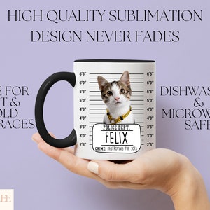 Funny Cat Mug, Custom Cat Mug For Cat Owner Birthday Gift, Pet Portrait Mug, Personalized Pet Mug, Cat Lover Gift Mug For Cat's Week Gift image 3