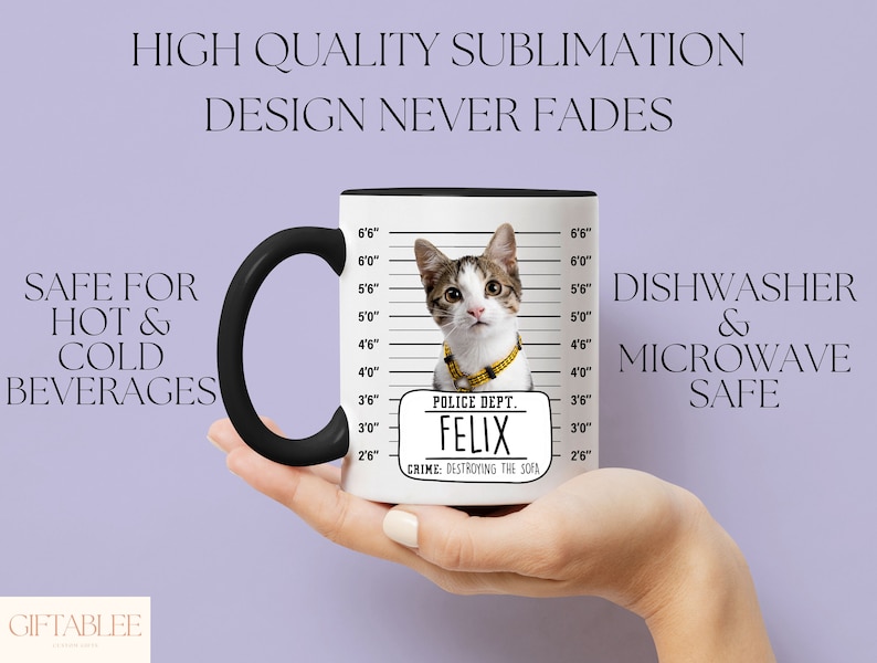 Funny Cat Mug, Custom Cat Mug For Cat Owner Birthday Gift, Pet Portrait Mug, Personalized Pet Mug, Cat Lover Gift Mug For Cat's Week Gift image 3