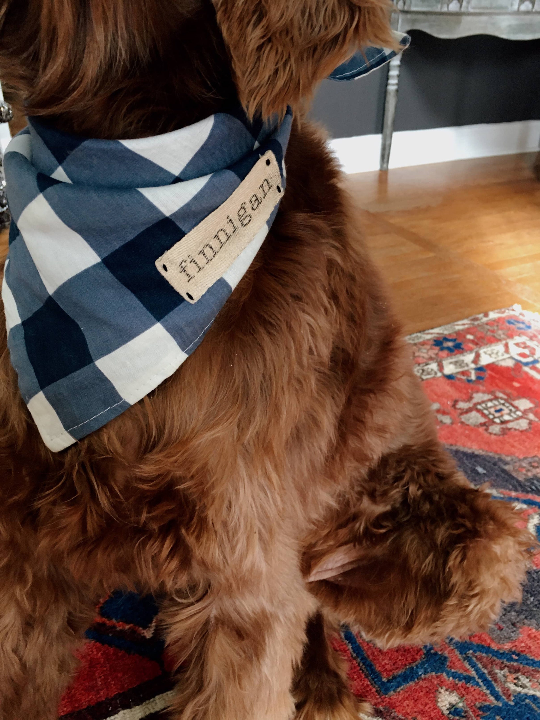Custom Dog Bandana / Personalized Dog Bandana / Bright Floral Etsy