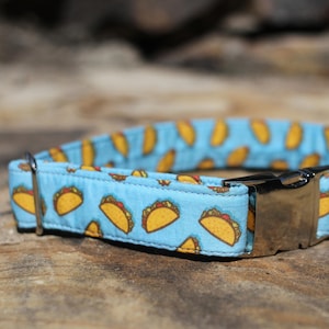 Taco Collar, Summer Collar, Male Dog Collar, Female Dog Collar, Novelty Dog Collar, Pet Collar, Large Dog Collar, Small Dog Collar, Taco