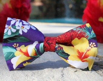 Adjustable Colorful Paw Prints Bowtie for Wedding Holiday Party INWANZI Mens Fashion Pre-Tied Bow Tie