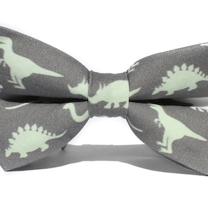 Dinosaurier Fliege, Fliege für Jungen, Kleinkind Fliege, Fliege, Hundefliege, Herren Fliege, Jungen Fliege, Kinder Fliege, Lustige Fliege, Für Ihn
