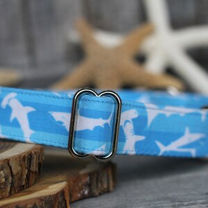 Shark Dog Collar | Summer Pet Collar | Male Dog Collar | Female Dog Collar | Large Dog Collar | Small Dog Collar