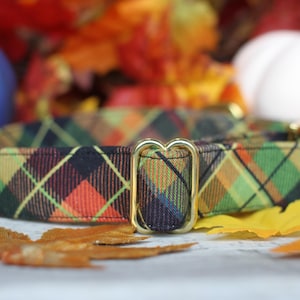 May include: A plaid dog collar with a gold metal buckle. The collar is green, orange, black, and yellow.
