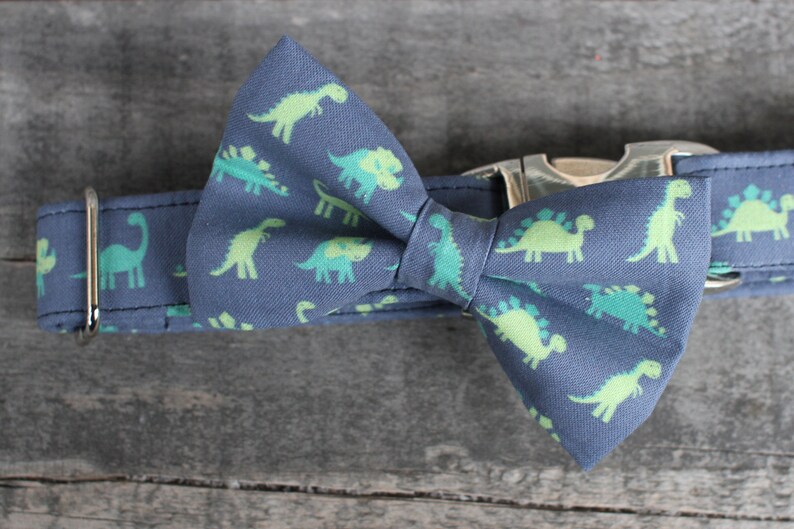 Dinosaur Dog Collar Gray and Green Dog Collar Male Dog Etsy