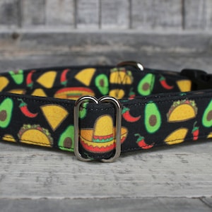 Cinco de Mayo Dog Collar, Taco Dog Collar, Summer Collar, Male Dog Collar, Female Dog Collar, Large Dog Collar, Small Dog Collar