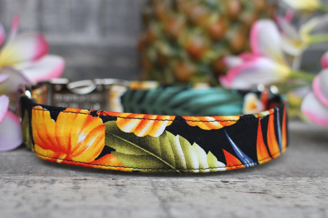 Hawaiian Dog Collar Floral Dog Collar Female Dog Collar Etsy