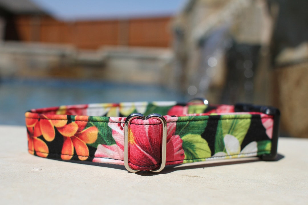 Hawaiian Dog Collar Floral Dog Collar Female Dog Collar Etsy