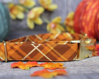 fall dog collar