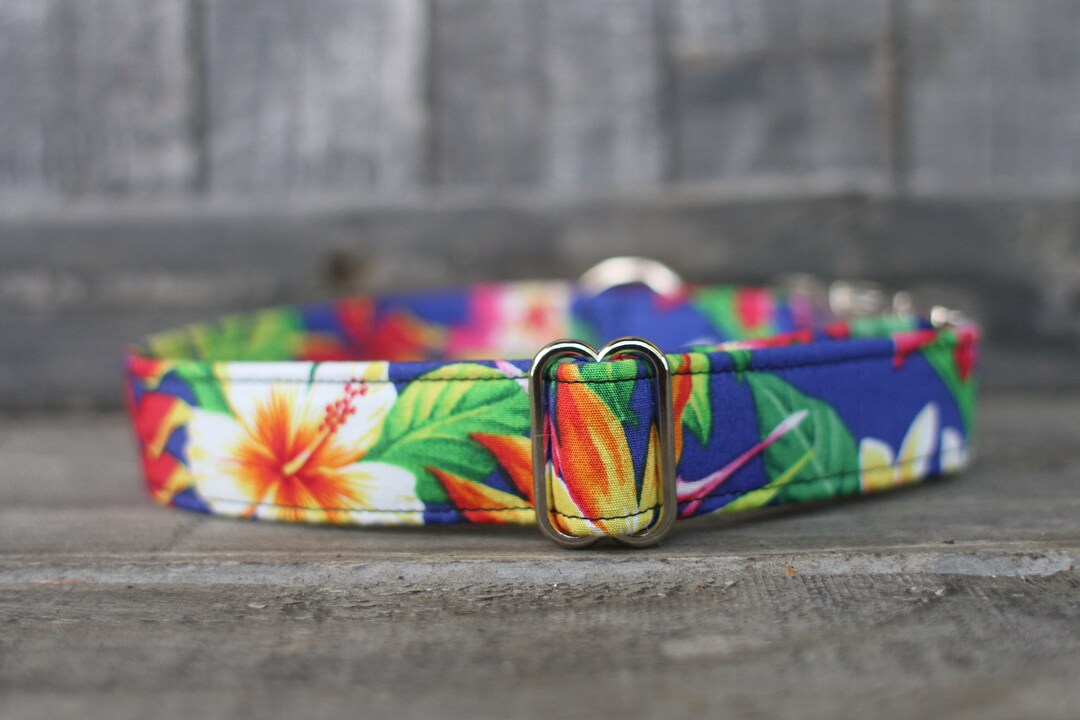 Hawaiian Dog Collar, Floral Dog Collar, Female Dog Collar, Male Dog