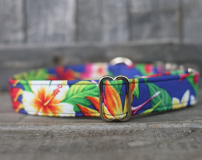 Hawaiian Dog Collar Floral Dog Collar Female Dog Collar Etsy