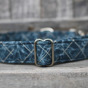 Peut inclure: Un collier pour chien bleu et blanc &agrave; motif avec un anneau en D argent&eacute;.