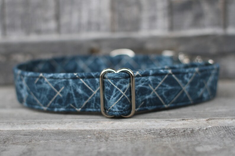 Peut inclure: Un collier pour chien bleu et blanc &agrave; motif avec un anneau en D argent&eacute;.