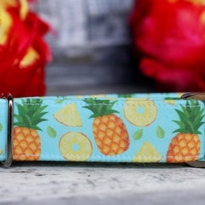 Pineapple Collar, Summer Dog Collar, Male Dog Collar, Boy Dog Collar, Novelty Dog Collar, Pet Collar, Large Dog Collar, Small Dog Collar