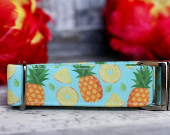 Pineapple Collar, Summer Dog Collar, Male Dog Collar, Boy Dog Collar, Novelty Dog Collar, Pet Collar, Large Dog Collar, Small Dog Collar