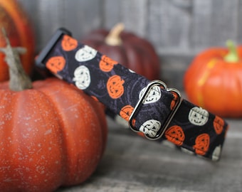 Pumpkin Dog Collar, Halloween Pet Collar, Autumn Dog Collar, Fall Dog Collar, Female Dog Collar, Male Dog Collar, Small Dog Collar Large Dog