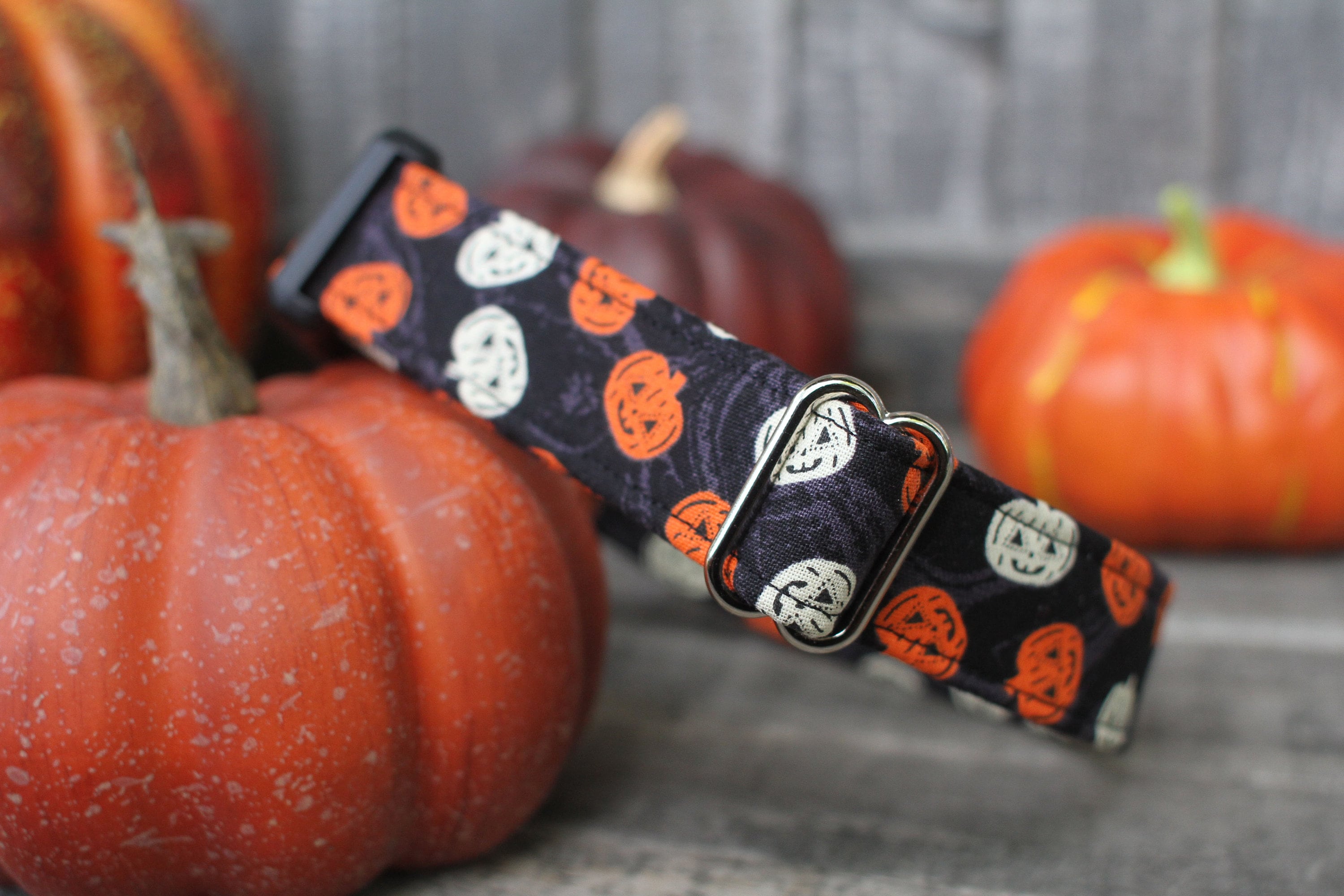 Pumpkin Dog Collar, Halloween Dog Collar, Autumn Dog Collar, Fall Dog Collar, Female Dog Collar, Male Dog Collar, Small Dog Collar Large Dog