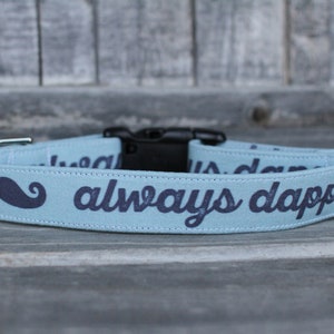 Always Dapper Dog Collar | Valentines Dog Collar | Male Dog Collar | Boy Dog Collar | Pet Collar | Large Dog Collar | Small Dog Collar