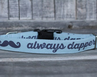 Always Dapper Dog Collar | Valentines Dog Collar | Male Dog Collar | Boy Dog Collar | Pet Collar | Large Dog Collar | Small Dog Collar
