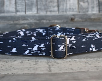 Shark Dog Collar | Summer Pet Collar | Male Dog Collar | Female Dog Collar | Large Dog Collar | Small Dog Collar