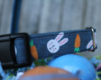 May include: A blue dog collar with a white bunny and orange carrot pattern. The collar has a black buckle.