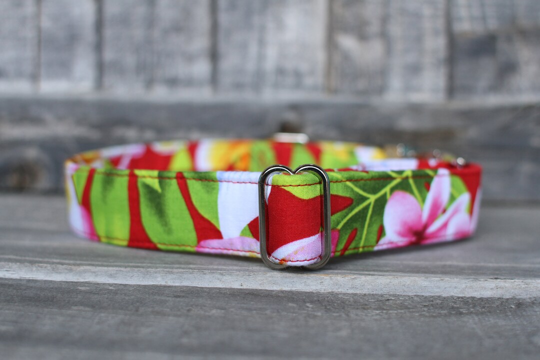 Hawaiian Dog Collar Floral Dog Collar Female Dog Collar Etsy
